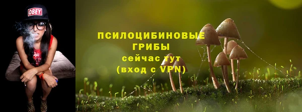 mix Щёлкино