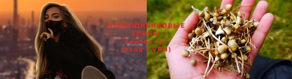 скорость Алексеевка